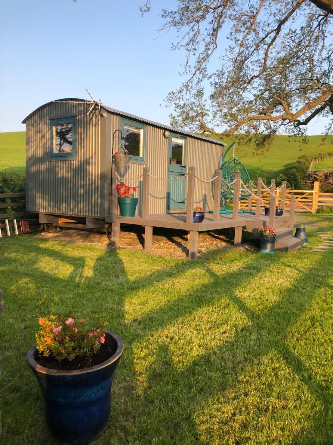 The Peacock Shepherds Hut At Hafoty Boeth Corwen Extérieur photo