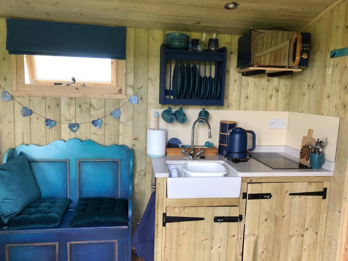 The Peacock Shepherds Hut At Hafoty Boeth Corwen Extérieur photo
