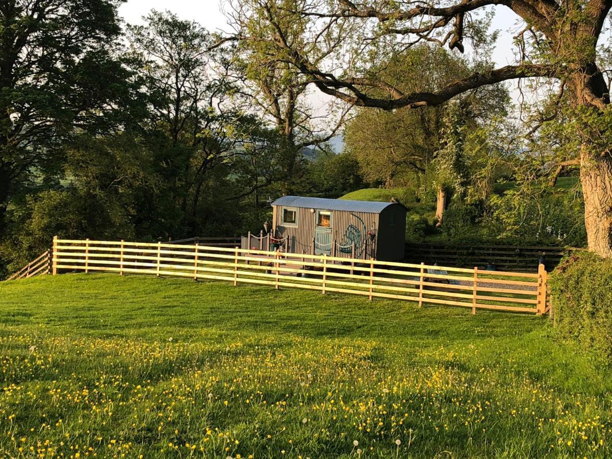 The Peacock Shepherds Hut At Hafoty Boeth Corwen Extérieur photo