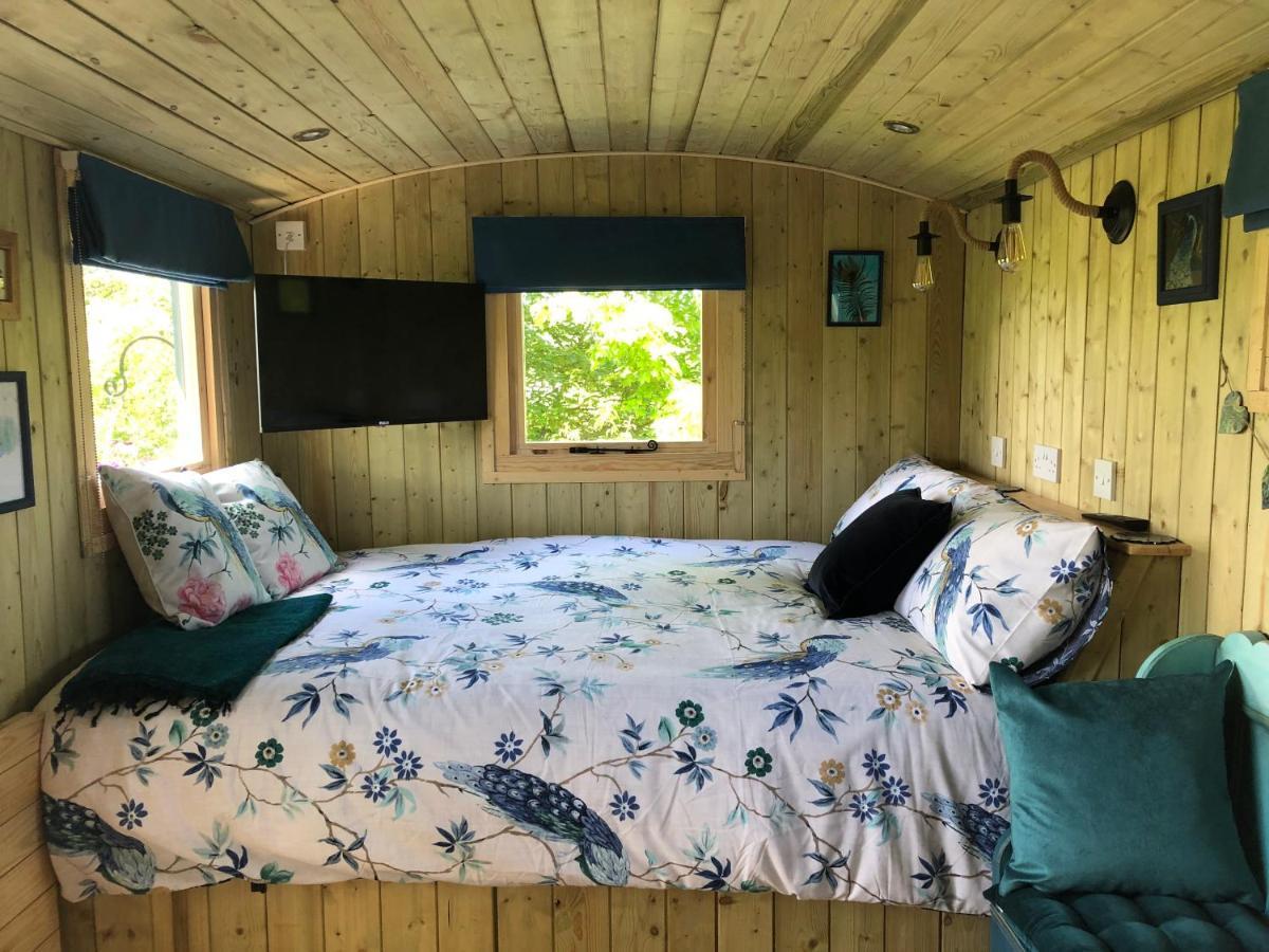 The Peacock Shepherds Hut At Hafoty Boeth Corwen Extérieur photo