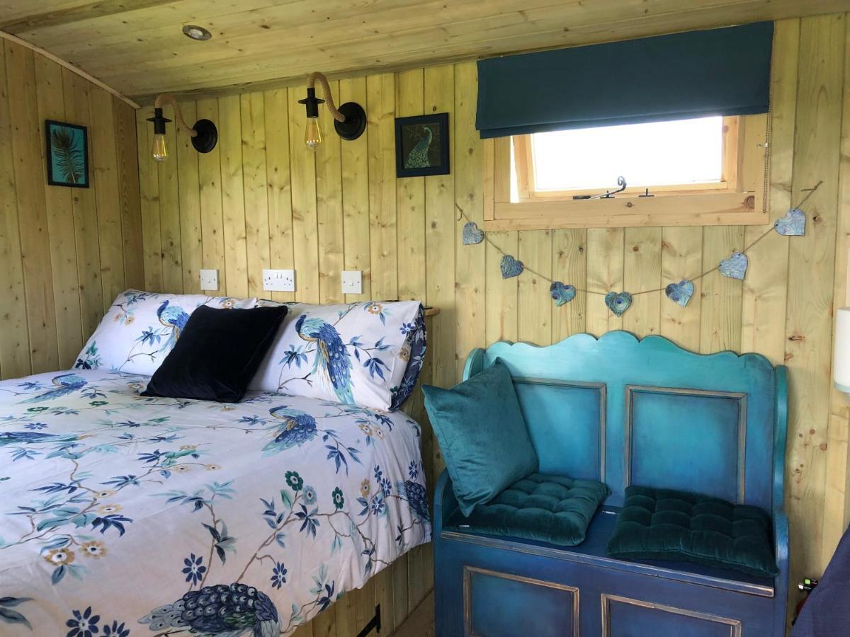 The Peacock Shepherds Hut At Hafoty Boeth Corwen Extérieur photo