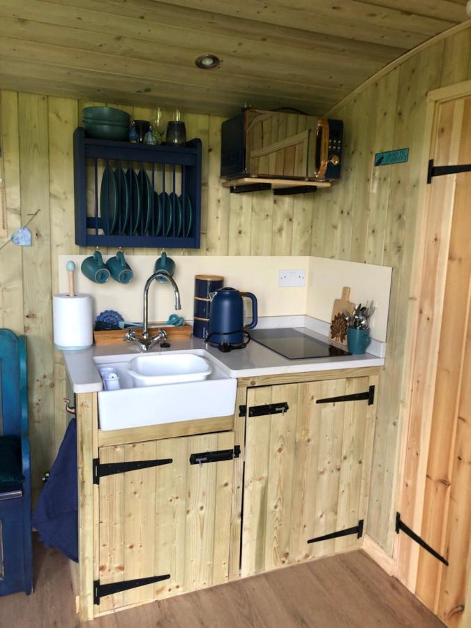 The Peacock Shepherds Hut At Hafoty Boeth Corwen Extérieur photo